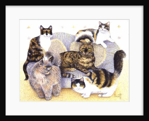 Tortoiseshell ladies by Pat Scott