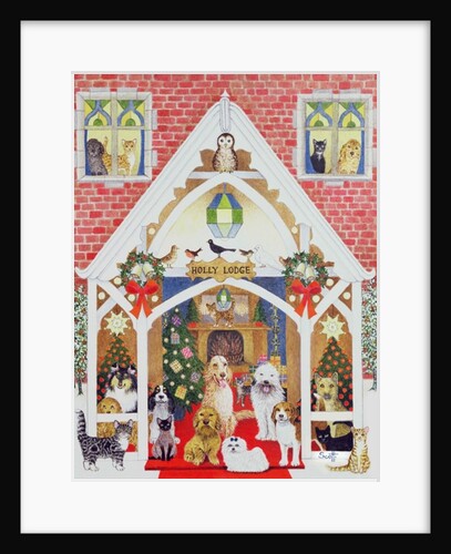 Black and white whiskers by Pat Scott