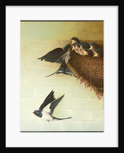 Hungry Mouths, 2011 by Pat Scott