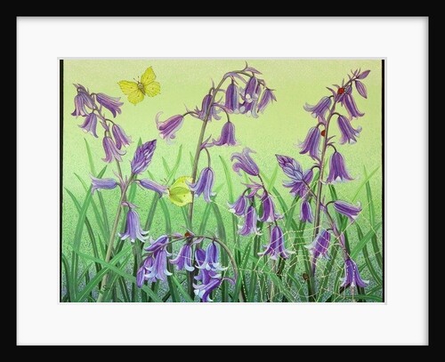 Life is Everwhere, 2011 by Pat Scott