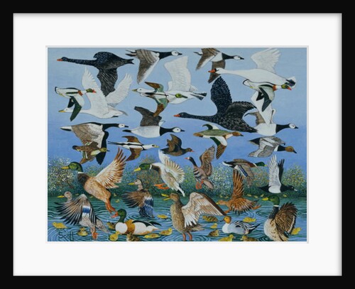 Taking Off, 1996 by Pat Scott