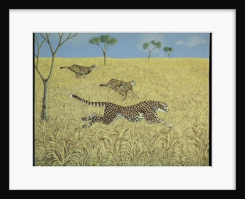 Sheer Speed by Pat Scott