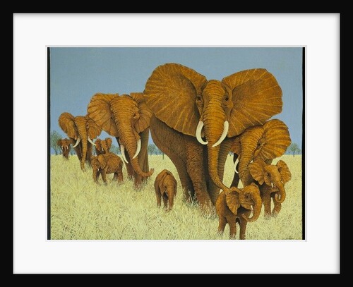 Enormous but caring by Pat Scott