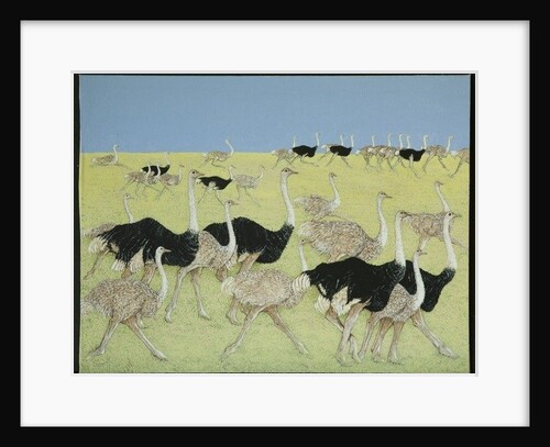 Rush hour by Pat Scott