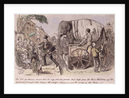 An old gentleman anxious that his wife should possess some trifle from the Great Exhibition of 1851, purchases the stuffed elephant and the model of the dodo by John Leech