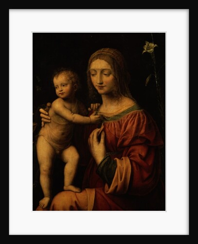 Virgin and Child by Bernardino Luini