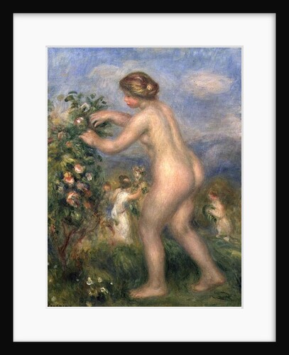 Female nude picking flowers by Pierre Auguste Renoir