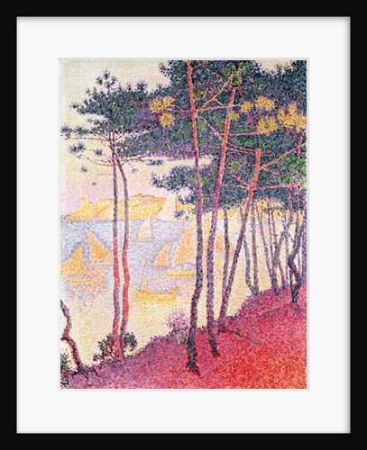 Sailing boats and pine trees, 1896 by Paul Signac