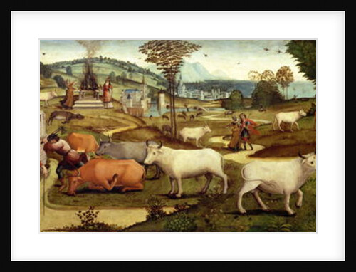 The Passions of Pasiphae, wife of King Minos of Crete by Master of the Campana Cassoni