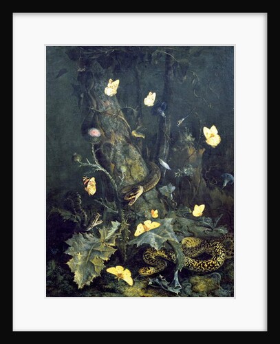 Snakes and Butterflies, 1670 by Otto Marseus van Schrieck
