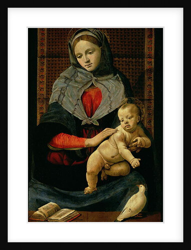 Madonna and Child with a Dove by Piero di Cosimo