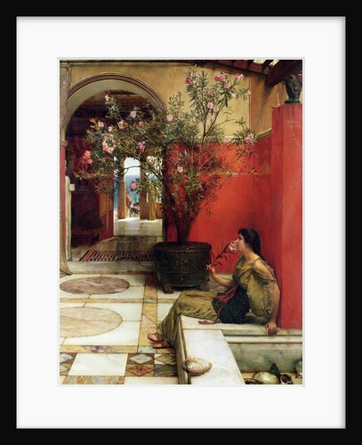 An Oleander, 1882 by Lawrence Alma-Tadema