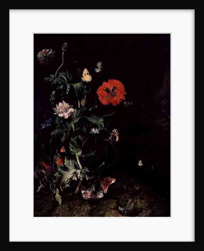 Forest Floor Still Life with Flowers and Butterflies by Rachel Ruysch