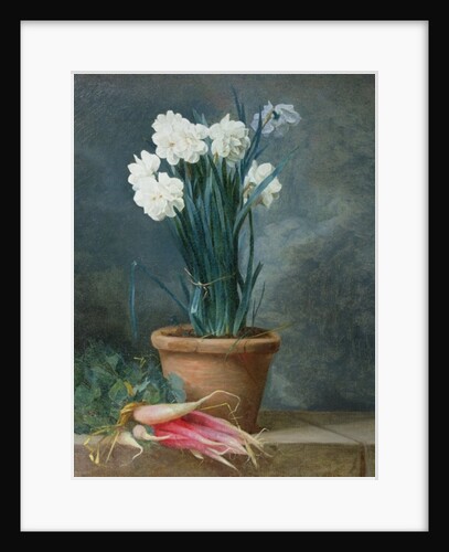 Still Life of Narcissi in a Terracotta Pot by Guillaume-Thomas-Raphael Taraval