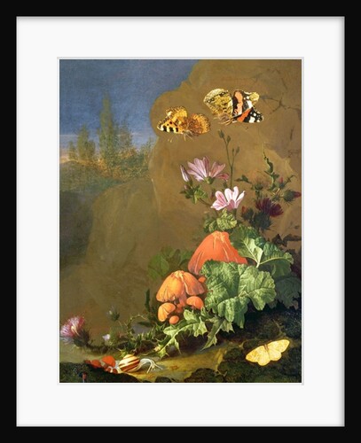 Still Life of Forest Floor with Flowers, Mushrooms and Snails by Elias van den Broeck