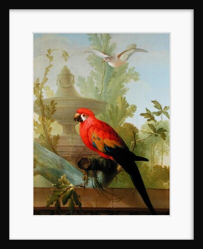 A Macaw and a Dove in an ornamental Garden, 1772 by Gerrit van den Heuvel