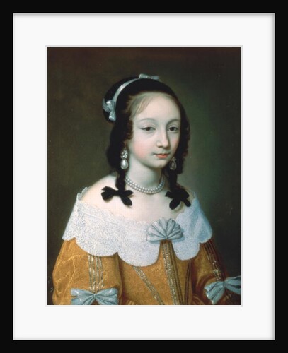 Portrait of a Lady Wearing a Yellow Silk Dress, 1646 by Charles Beaubrun