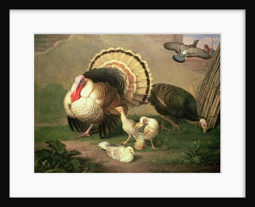 Turkeys by Johan Wenzel Peter