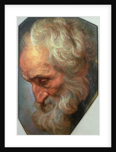 Head of an Apostle by Gaspar de Crayer