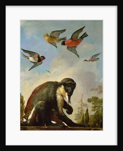 Chained monkey in a landscape by Melchior de Hondecoeter