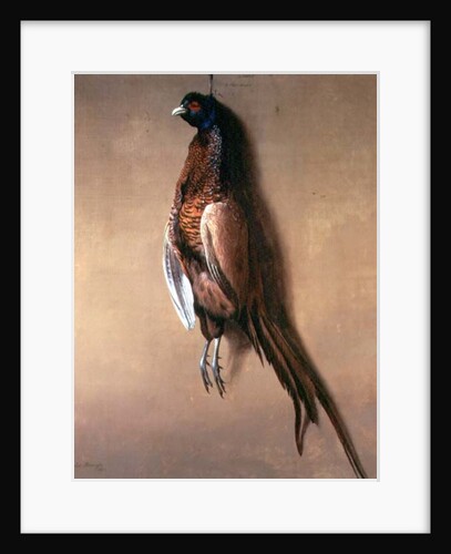 Hanging cock pheasant, 1822 by James Barenger