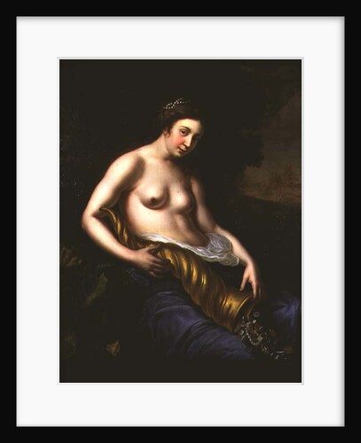 Allegory of Abundance, 1651 by Carel van Savoy