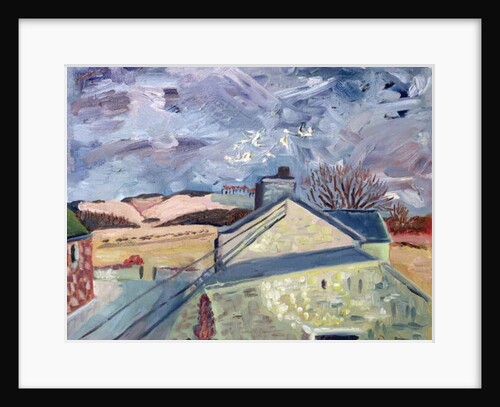 Doves at High Barns, 1998 by Robert Hobhouse