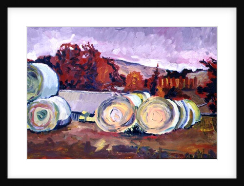 Haybales, Scotland, 1996 by Robert Hobhouse