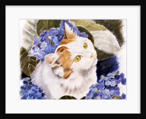 Turkish Van by Anne Robinson