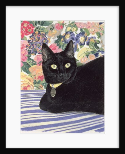 Black Cat by Anne Robinson