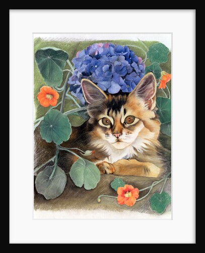 Sootsy with Hydrangea by Anne Robinson