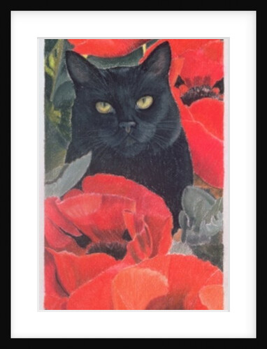 Black Cat with Poppies by Anne Robinson