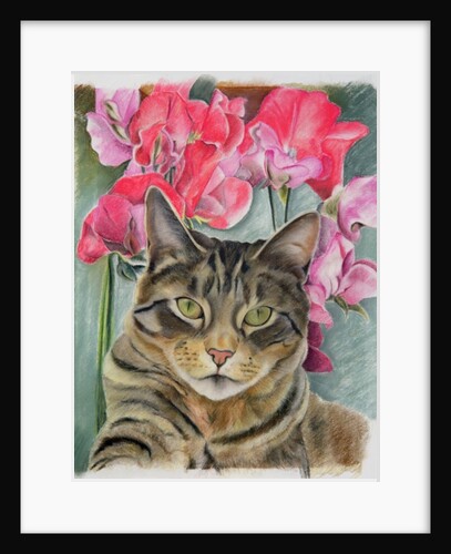 Cat with sweet peas by Anne Robinson