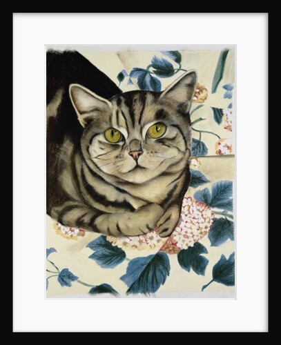 Tabby cat by Anne Robinson