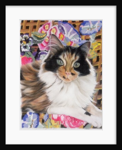 Cleo by Anne Robinson