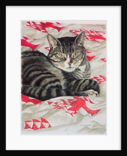 Cat on quilt by Anne Robinson