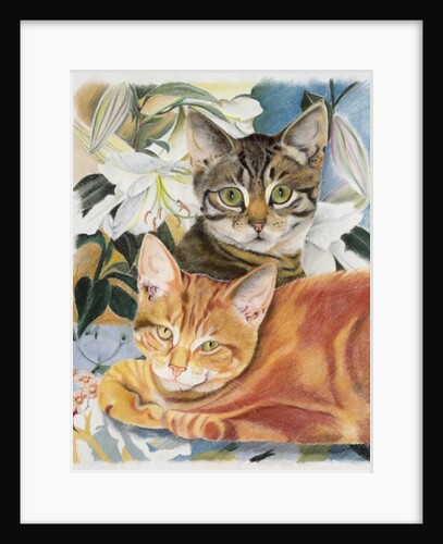 Pepper and Salt by Anne Robinson