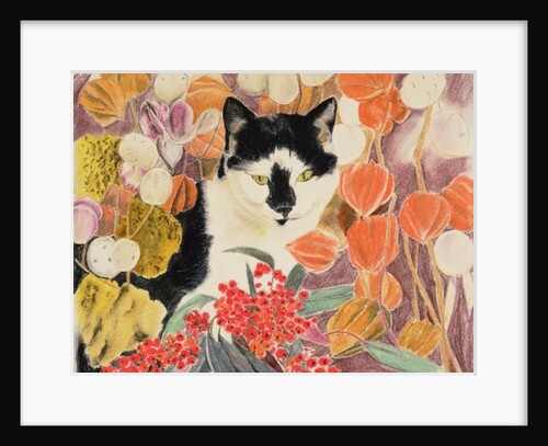 Chinese lanterns by Anne Robinson