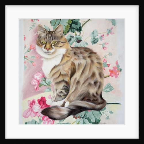 Long hair tabby by Anne Robinson