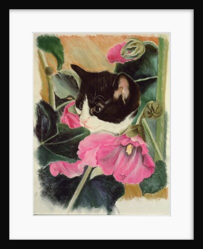 Kitten and hollyhocks by Anne Robinson