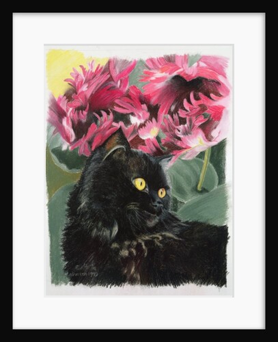 Black tulips by Anne Robinson