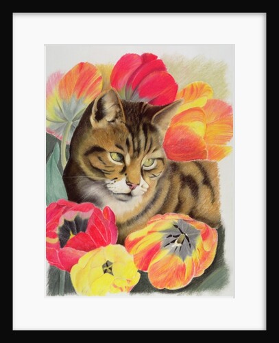 Stripy and tulip by Anne Robinson