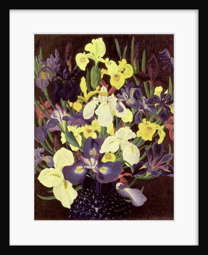Group of Irises, c.1940 by Cedric Morris