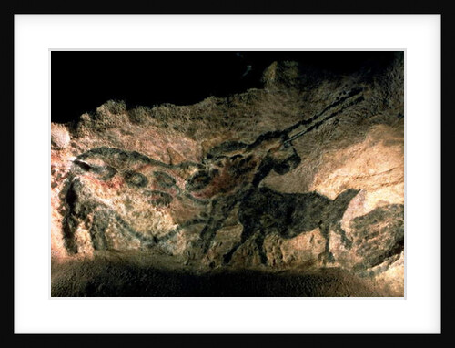 Rock painting of a horned animal, c.17000 BC by Prehistoric Prehistoric