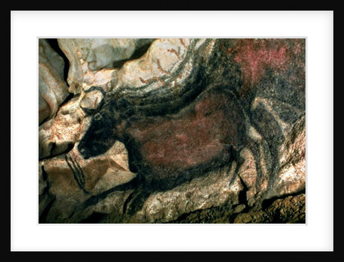 Rock painting of a black bull, c.17000 BC by Prehistoric Prehistoric