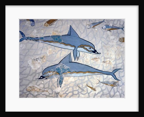 Dolphins by Greek Greek