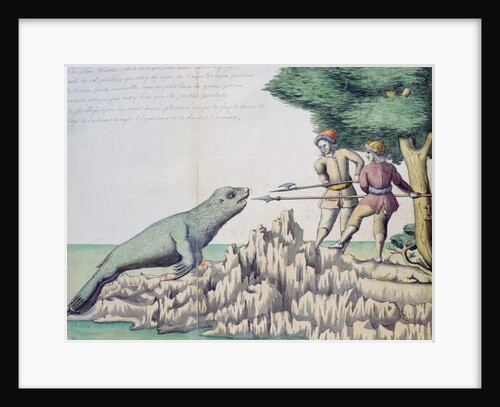 Sea Lion near the Strait of Magellan by French School