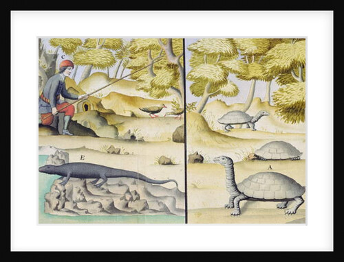 Animals encountered in the Galapagos Islands by French School