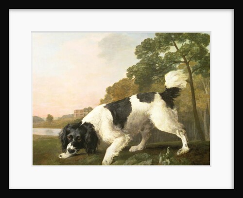 A Spaniel in a Landscape, 1771 by George Stubbs