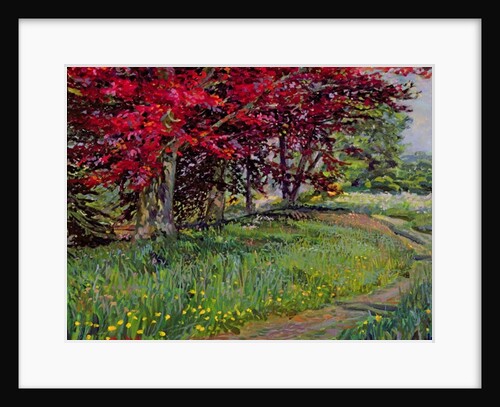 Copper Beeches, New Timber, Sussex by Robert Tyndall